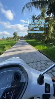 Discover the beautiful road between the villa 🛖 and Ubud center. A perfect route on foot, by scooter or by car 💫! Book your stay now, link in bio site 👆#bali #baliindonesia #baliinvestment #balilife  #baliindonesia #baliisland #balidaily #balitrip #baliunited #balitravel #baliholiday #baliguide #balivibes #luxurybalivilla #balivacation #balihome #balivilla #balibeach #balilifestyle #balivillas #balilove #balitour #baliadvisor #explorebali #voyage #voyageursdumonde #voyages #voyageuse #globetrotter #traveller